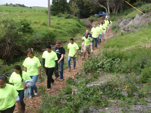 Volunteer with Waimea Trails